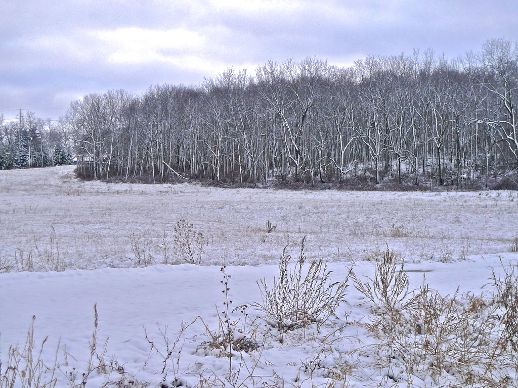 Wisconsin Winter Light Dane County, Wisconsin, USA Leica D… Flickr