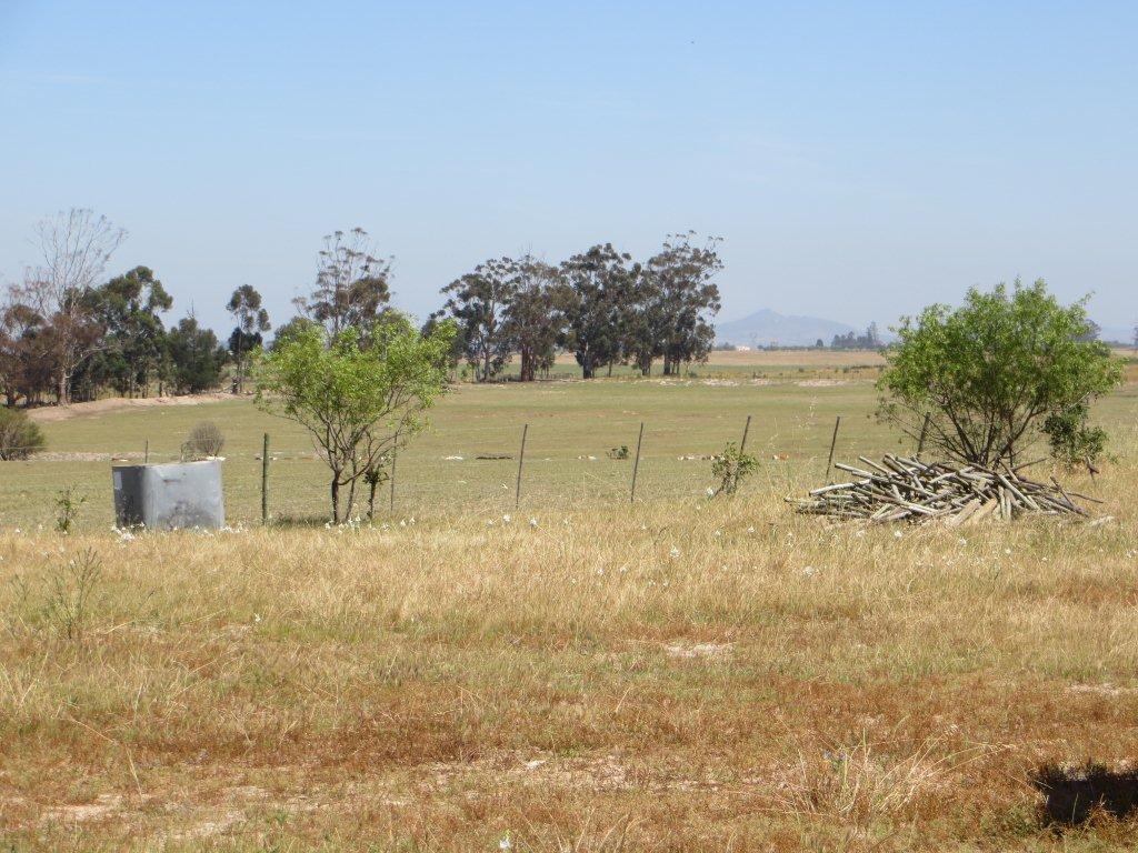 Lime Citrus farm for sale Malmesbury South Africa Lime far… Flickr