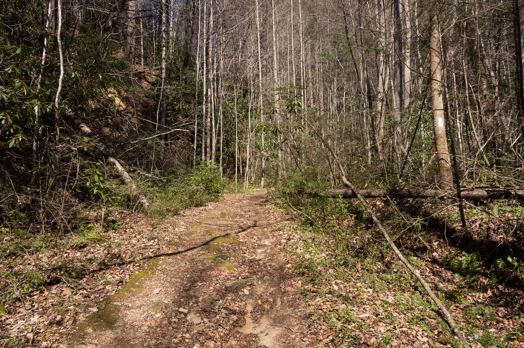 Foothills Trail at Laurel Fork Creek 1 MarksPhotoTravels Flickr
