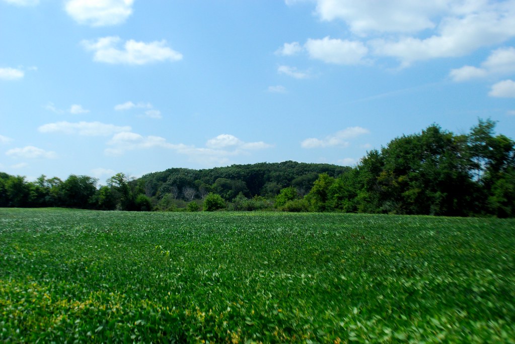View of the Bog Island New Munster Bog Island Wisconsin St… Flickr