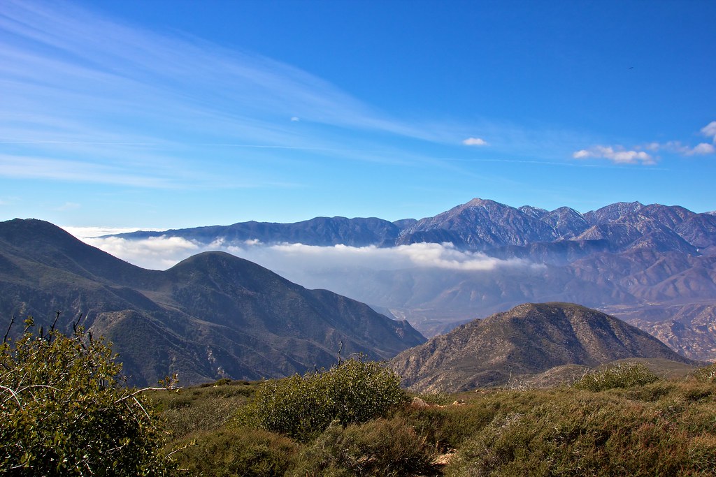 Cleghorn 95 SCI Photography Flickr