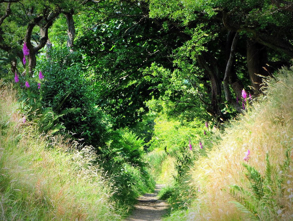 old coach road to Wycoller thought to be the inspiratio… Flickr