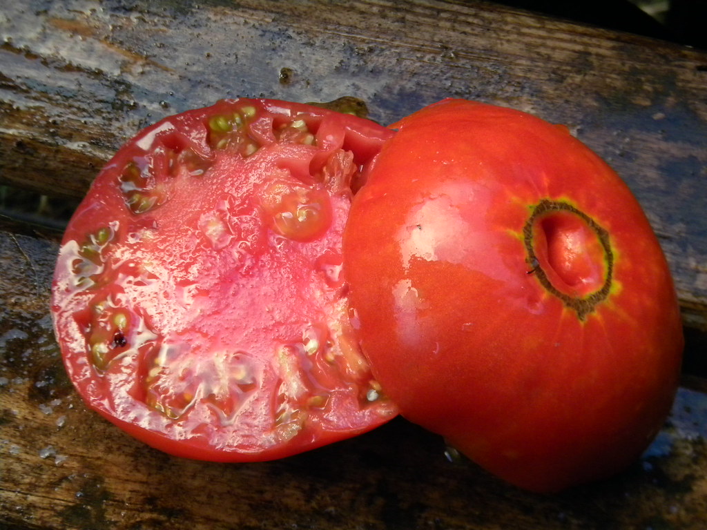 Brandywine OTV Blane Horton Flickr