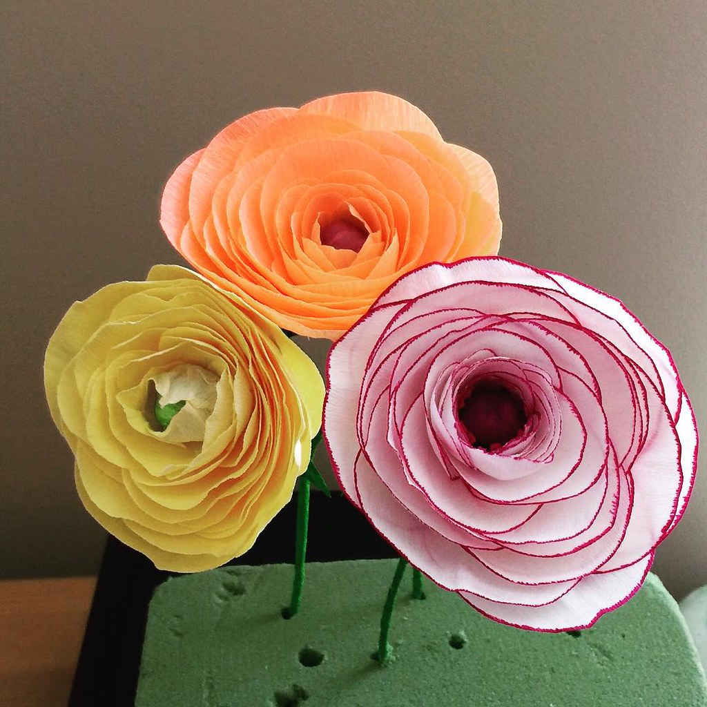 Crepe paper ranunculus. wip paperflowers ranunculus fl… Flickr
