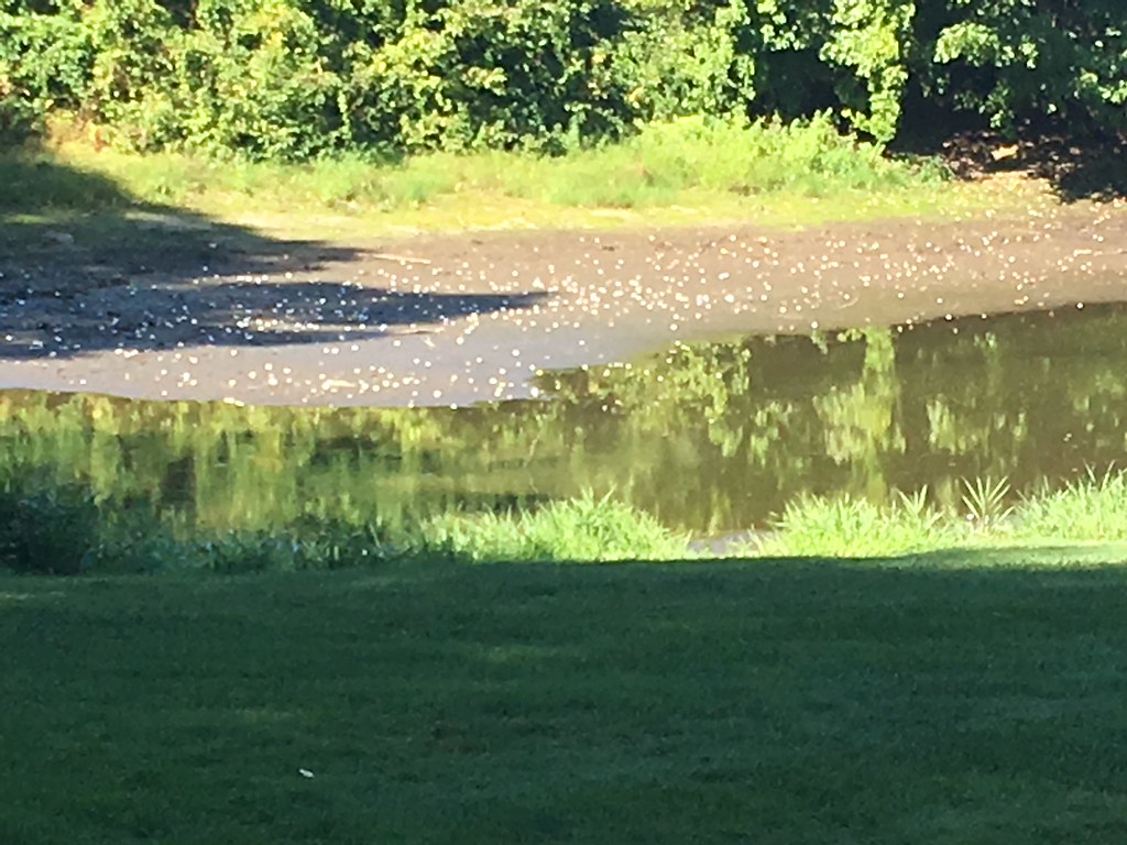 Courthouse at Pamela Rudy blog