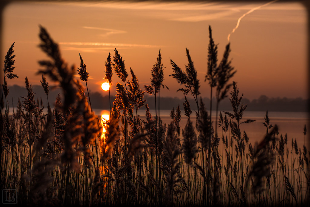 Flickriver LBfotos's photos tagged with schleswigholstein