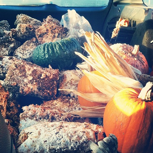 Also stopped by produce stand in Moss Landing, only to fin… Flickr