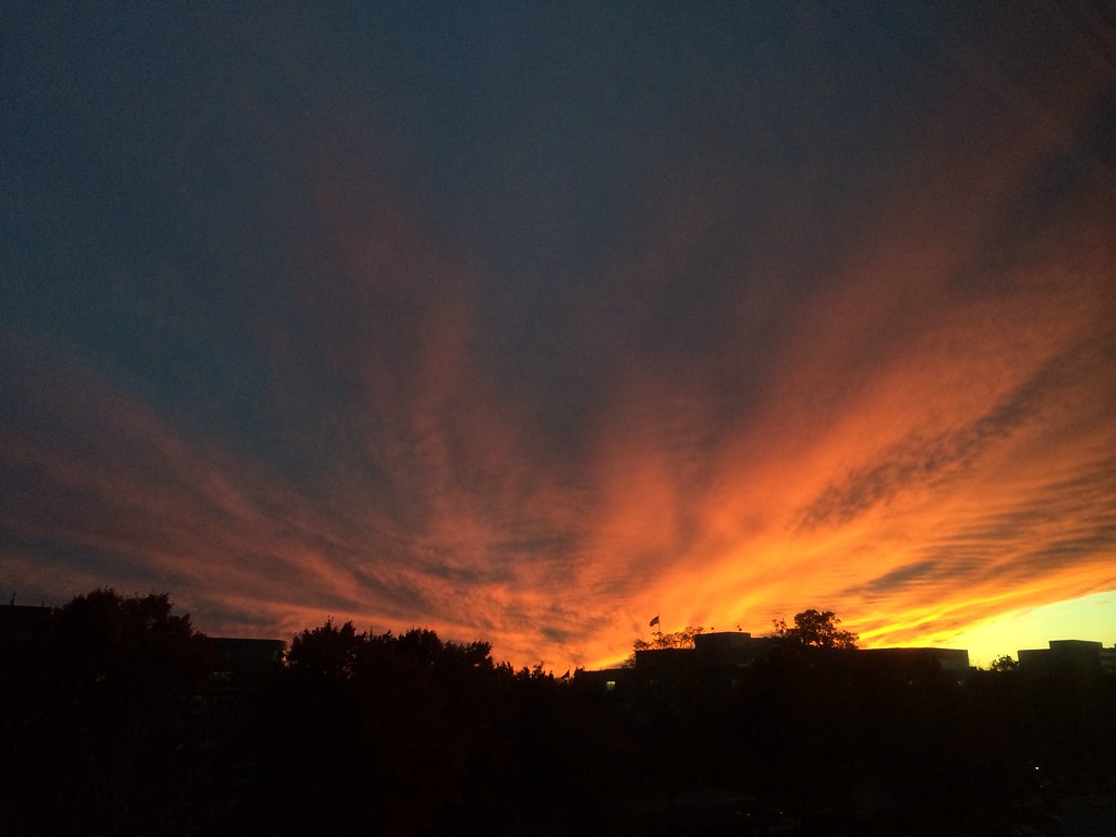 Altocumulus lit by fiery sunset Seen from Herndon, VA. Flickr