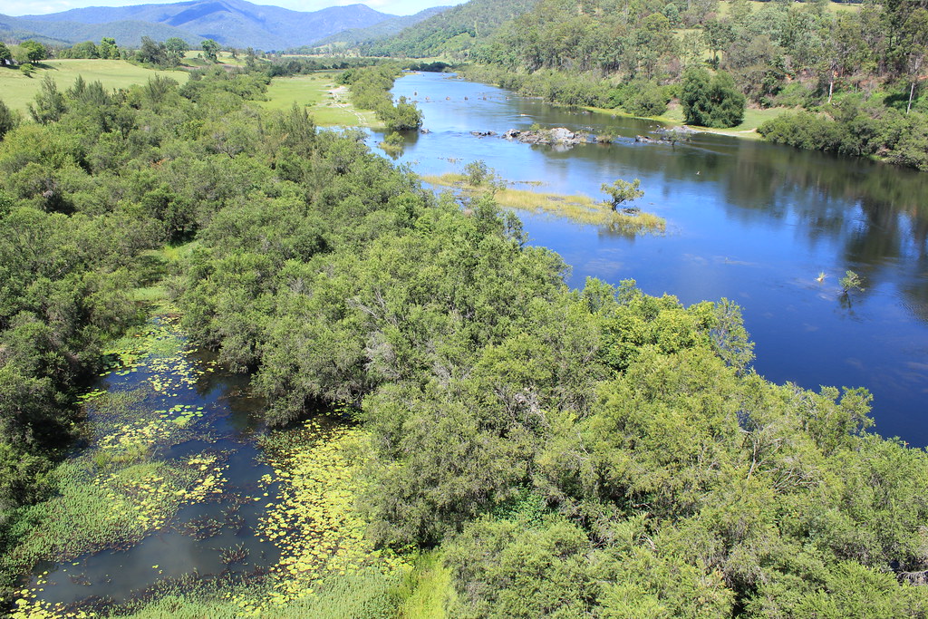 Mann River from Jackadgery Bridge Gwydir Highway(3) Flickr
