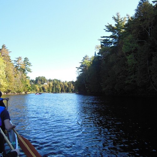An awesome day canoeing down the Kouchibouguac river today… Flickr