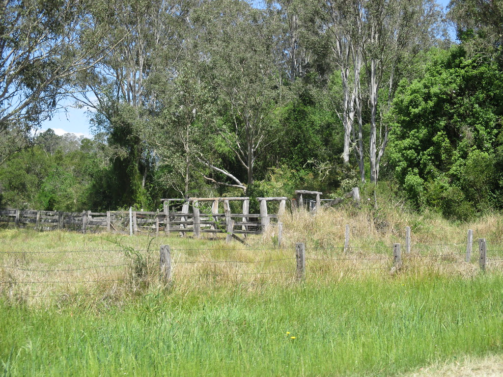 Northern Rivers Nsw. blokes 2012 Flickr