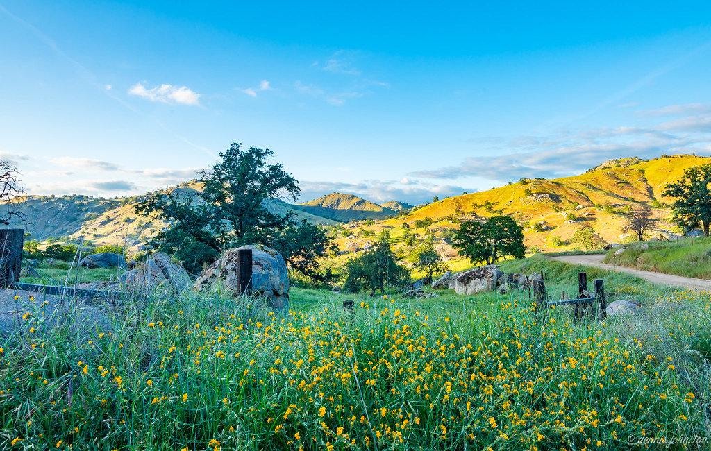 Country Road Terra Bella, California Dennis Johnston (Dr. J) Flickr