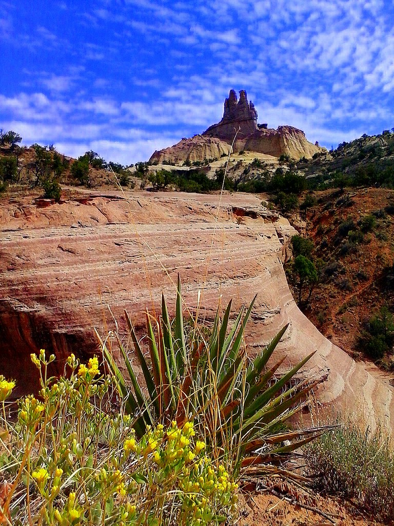 Red Rock New Mexico State Park Early morning stroll & walk… Flickr