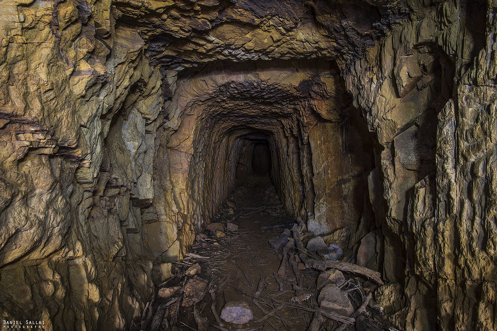 Gold Mining I got bored today so I picked up my shovel and… Flickr