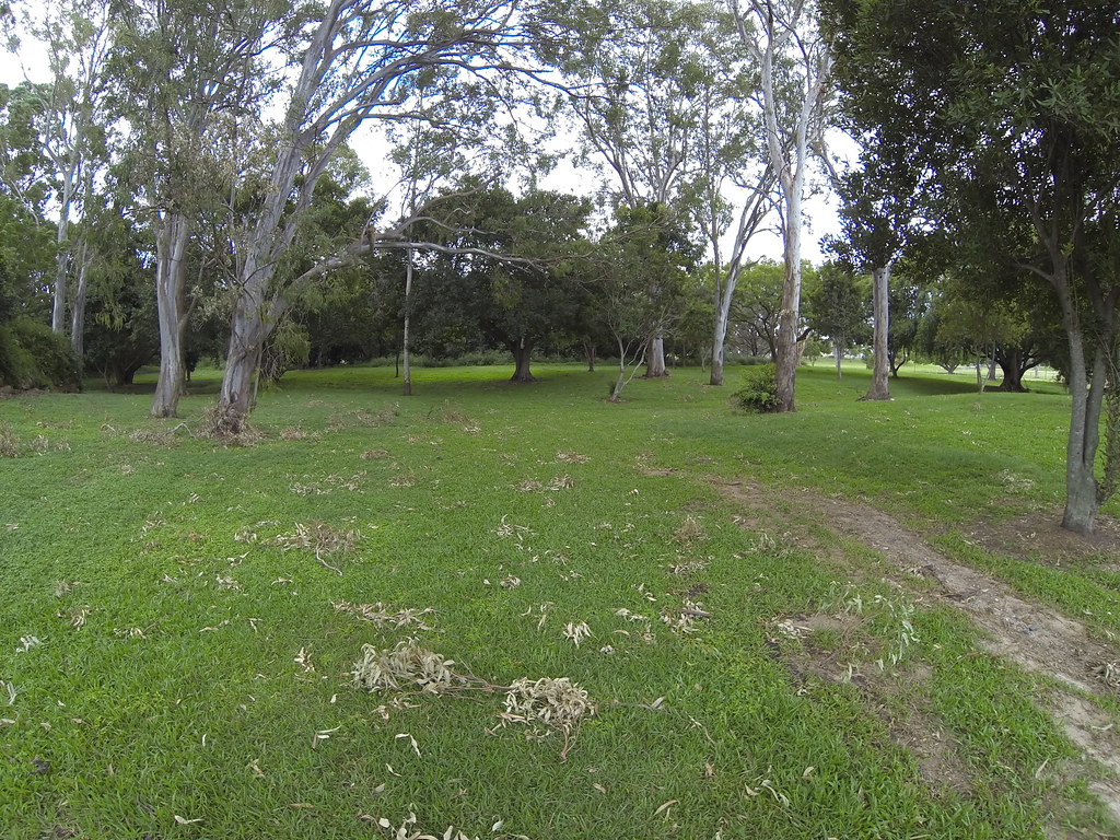 Emma Street Reserve, Wooloowin (QLD) Flickr
