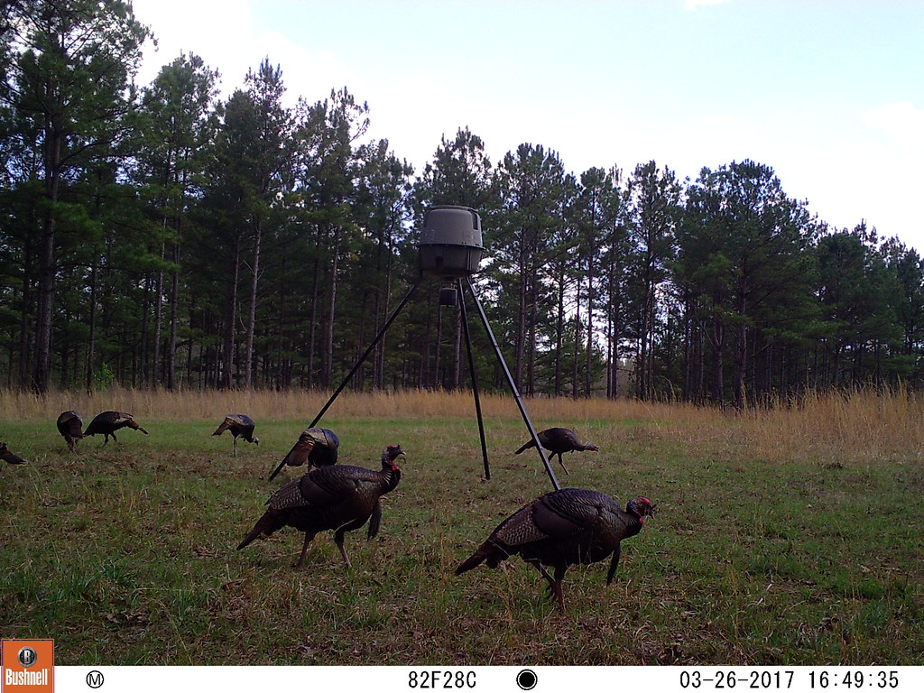 03260347 M2E72L209208R399B417 Harper Farms Flickr