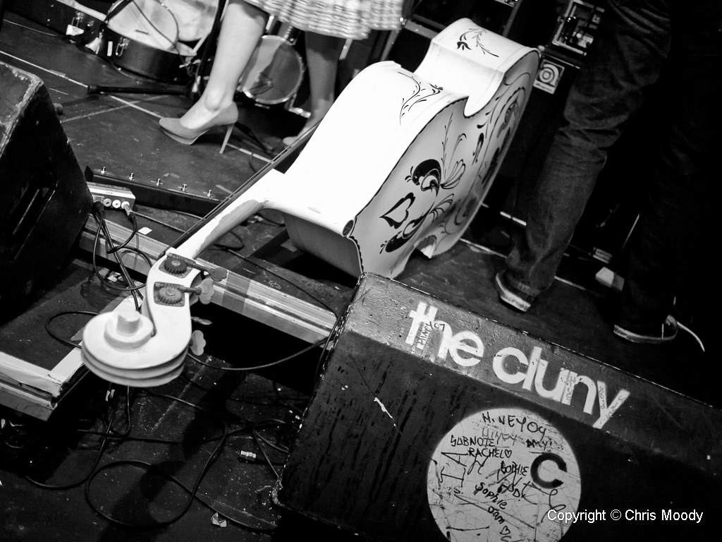 The Dirt Daubers The Dirt Daubers at The Cluny 25th March … Chris