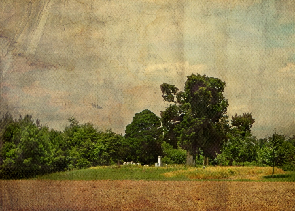 The Old Askew Family Graveyard Harrellsville, Hertford Co… Flickr