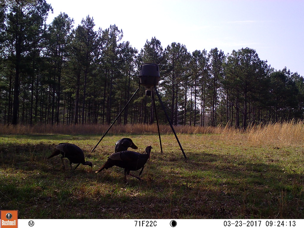 03230039 M2E83L229228R399B433 Harper Farms Flickr