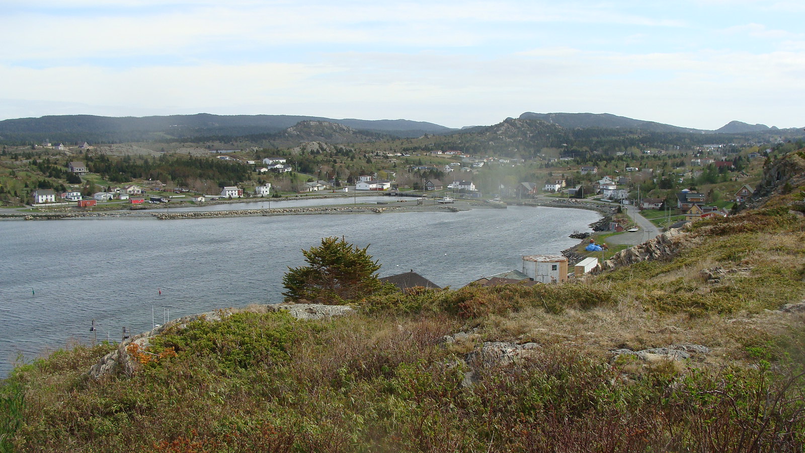 caplin cove 2013 Flickr