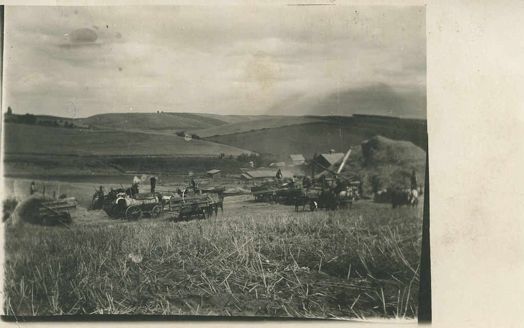 Harvest Scene, 1912 Elberton, Washington a photo on Flickriver