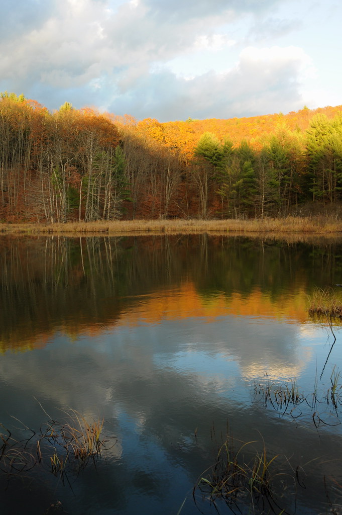 DSC_0392 Indian Summer, Putney VT Putneypics Flickr