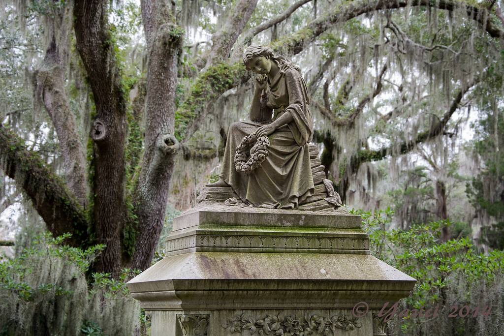 Bonaventure Cemetery, January 2014 Bonaventure Cemetery, S… Flickr