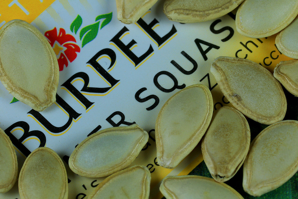 Burpees Seeds Hylas Flickr