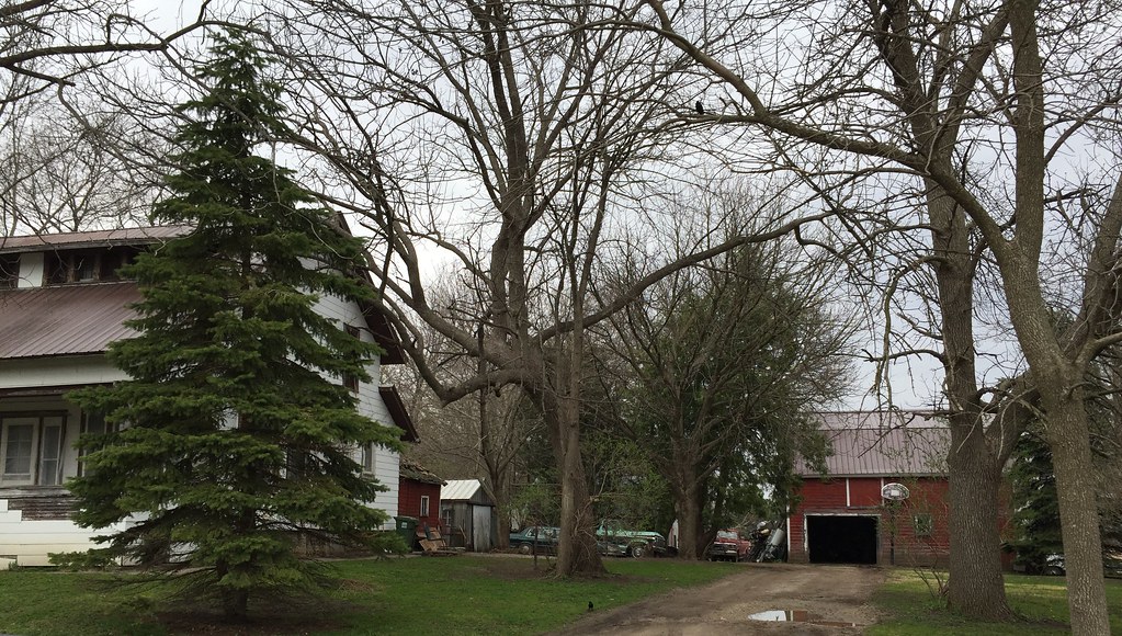 Dumont, Iowa Good Friday 20170414 308PM IMG_1719 tofightfortheright