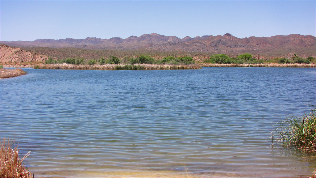 Kearny Lake, AZ Photograph by Ann Leonard, Librarian, Pina… Flickr