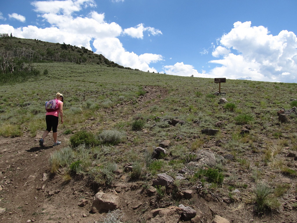 Hike Between Cove Mountain and Hand Fork Canyon, Near Monr… Flickr