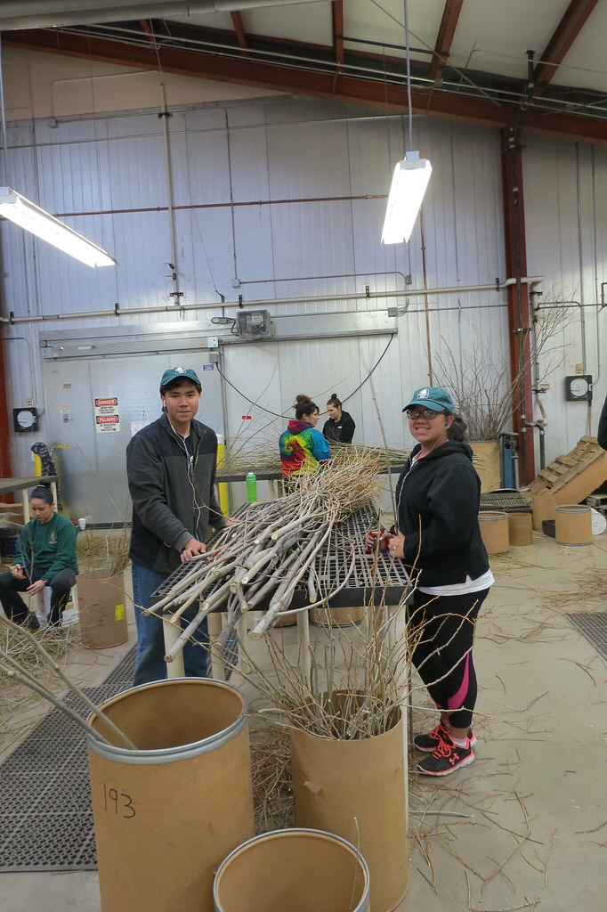 Nursery Production CSFS Volunteers gave their Saturday to … Flickr
