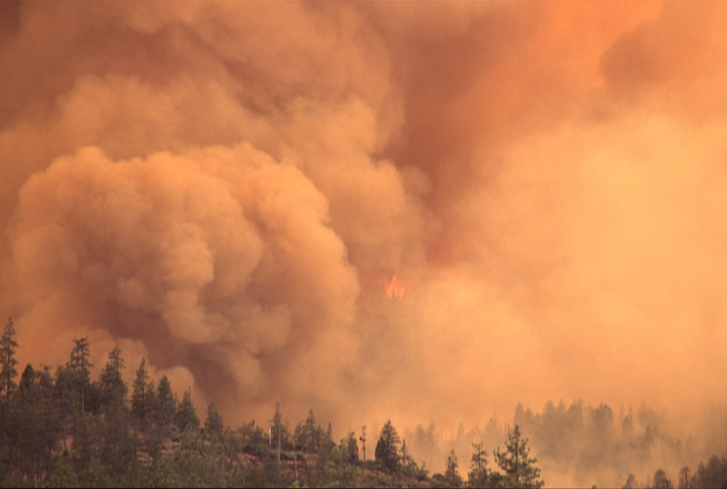 Wildfire in the Pacific Northwest The BLM and the U.S. For… Flickr