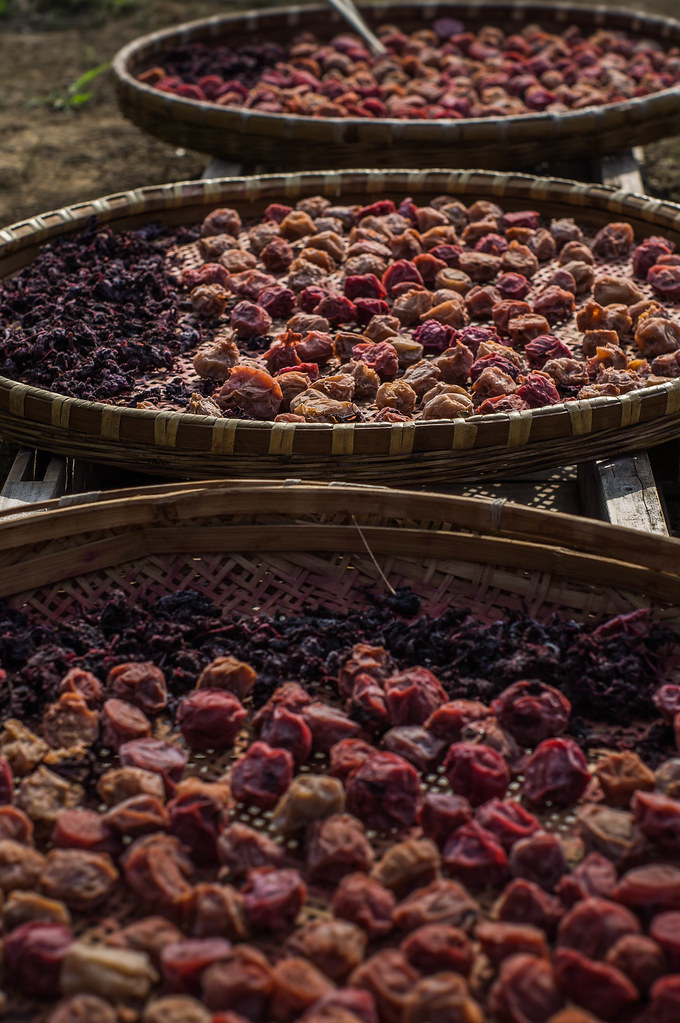 Umeboshi(dried plum) Umeboshi is typically traditional Jap… Flickr