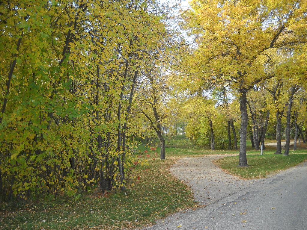 Graham's Island Oct 9, 13 ND Parks and Recreation Department Flickr