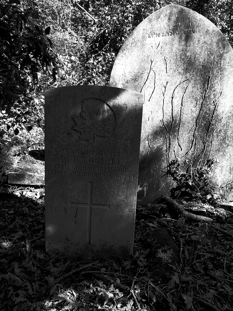 St Pancras and Islington Cemetery, East Finchley CWGC Priv… Flickr