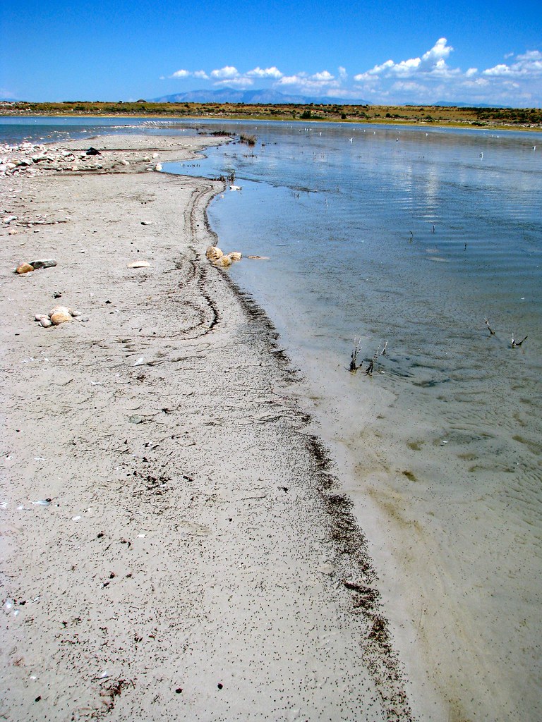 Antelope Island Bridger Bay Beach. Antelope Island State P… Flickr