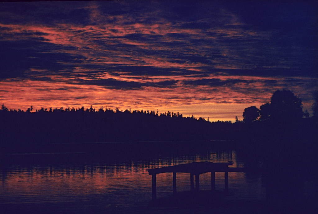 Lake Washington Sunset Bellevue Waterfront 19561960 Flickr