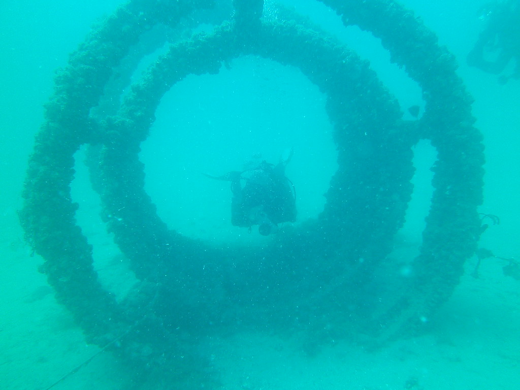 diving in qatar Camera 14MP9PC dive in qatar old club ree… gabi