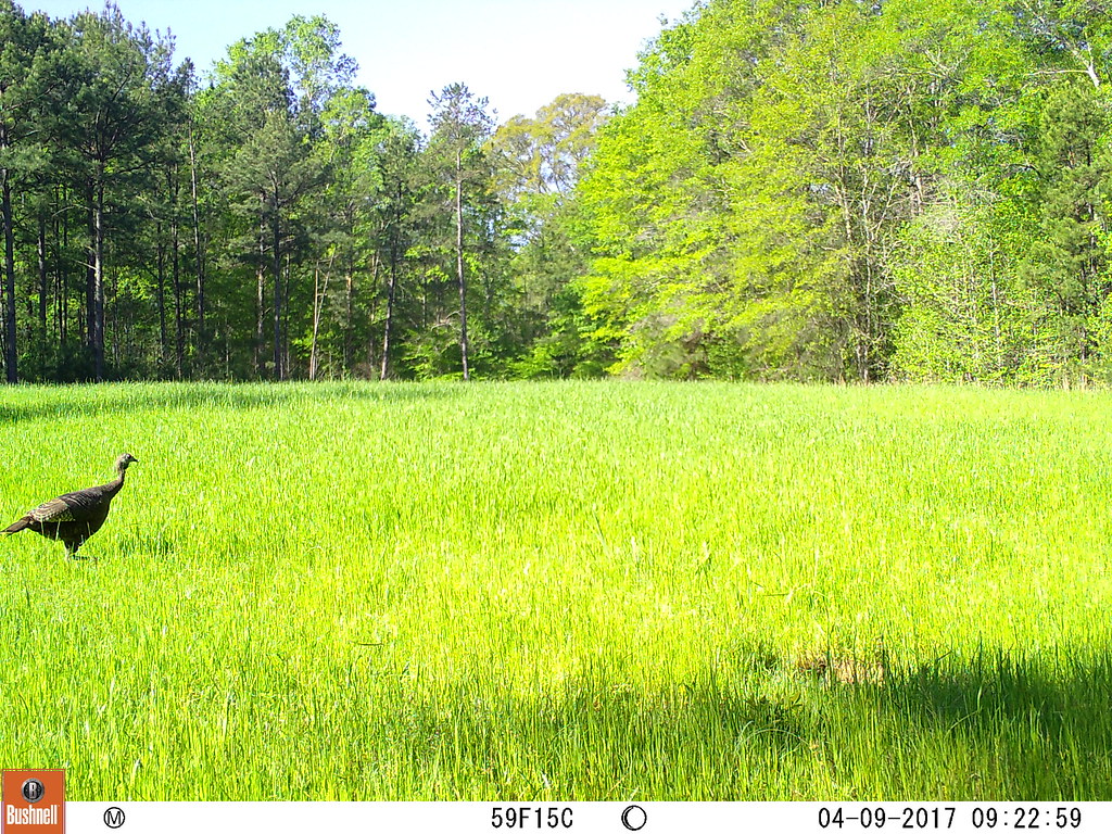 04090715 M2E70L205204R399B408 Harper Farms Flickr