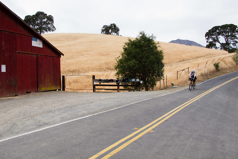 Territory Bay Area Bike Rides
