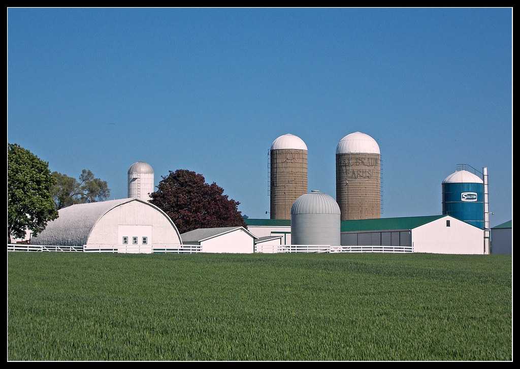 Whitewashed Barns the Braun farm in Saline Photographed … Flickr