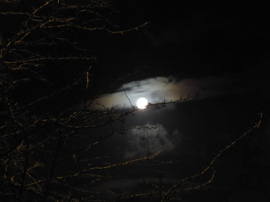 Full moon in the morning Leonora (Ellie) Enking Flickr