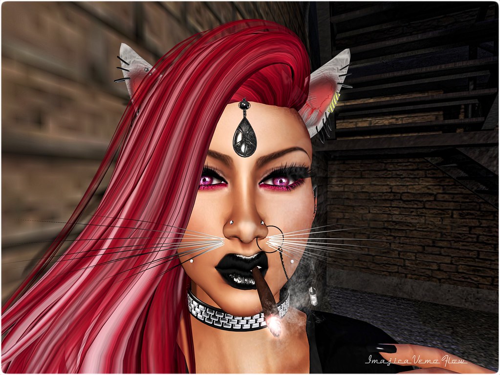 Alley Cat Hottness Boricua Flow Flickr