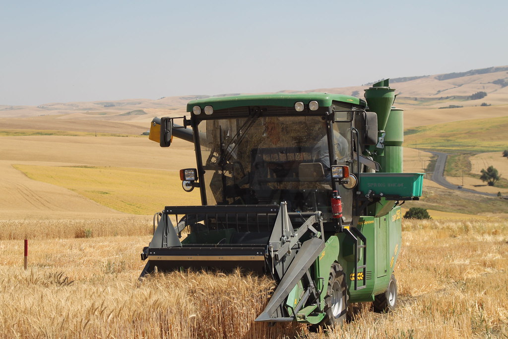Spillman Harvest 2012 CAHNRS WSU CAHNRS WSU Flickr