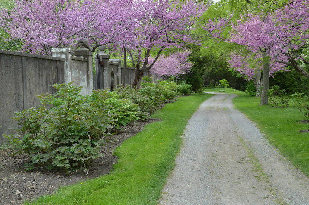 Linwood Gardens Flickr