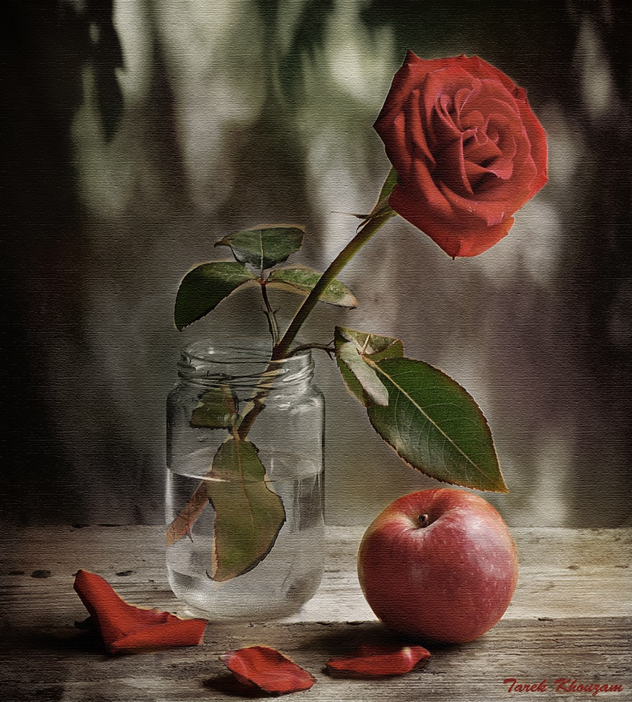 All sizes Rose and apple Flickr Photo Sharing!