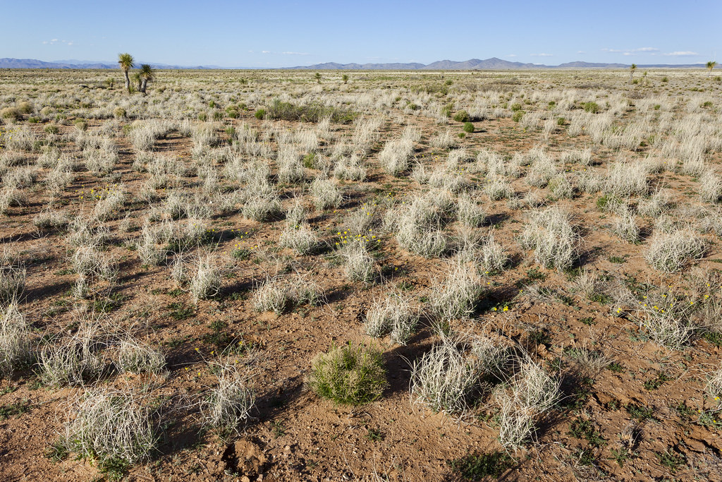 Lordsburg Mesa Lordsburg Mesa, northeast of Ninemile Hill,… Flickr