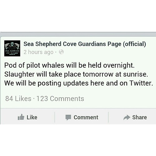Sad news from Taiji. Follow the Sea Shepherd Cove Guardian