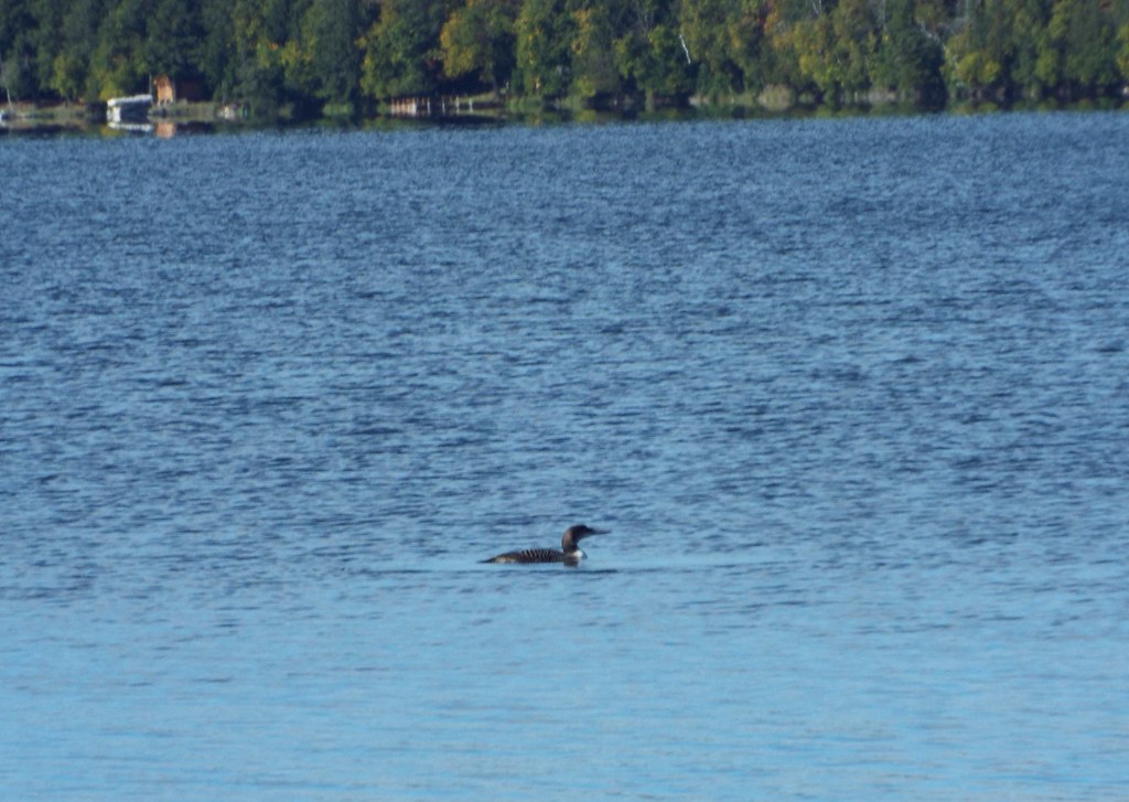 DSCF3271 long lake phelps wisconsin Sheila Kaplan Bradford Flickr